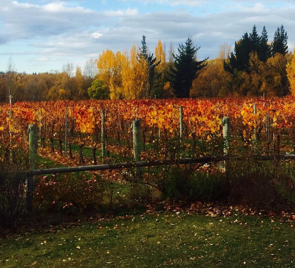 Villa 'The Crib' On Legacy Vineyard Alexandra Zimmer foto