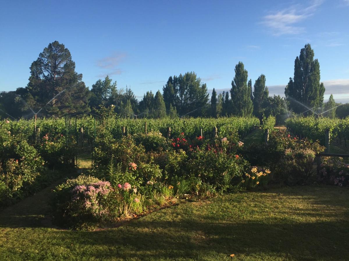 Villa 'The Crib' On Legacy Vineyard Alexandra Zimmer foto